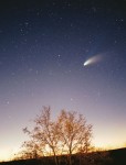 Komet Hale-Bopp im Frühjahr 1997 ©  Philipp Salzgeber