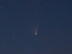 Komet PANSTARRS (Crop)