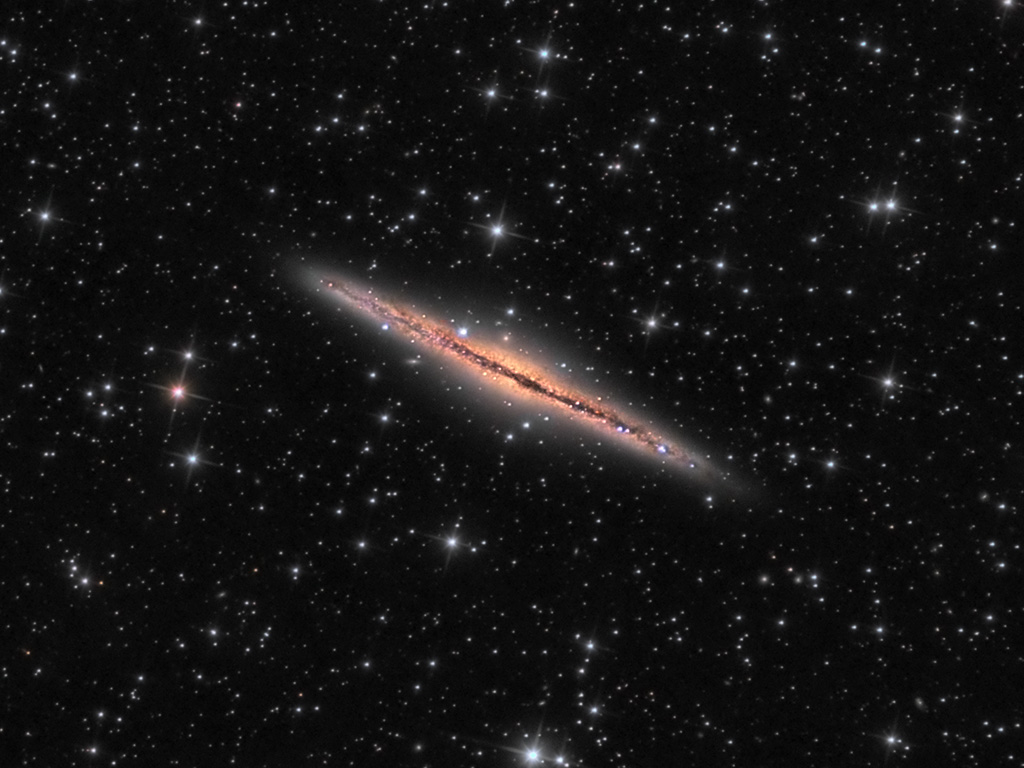 Objekte des Monats: Die Galaxie NGC 891