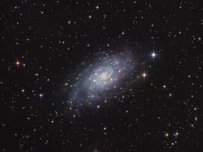 Objekte des Monats: Die Galaxie NGC 2403
