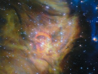 Braune Zwerge mit nur doppelter Jupitermasse entdeckt Star-forming region IC 348 (NIRCam image)