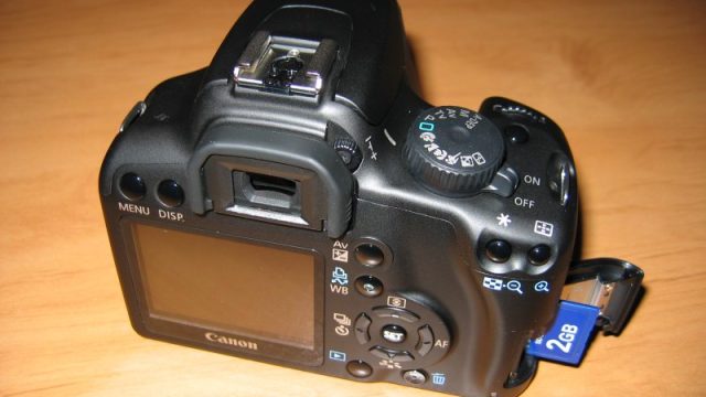 IMG_0417 - Body Rückseite