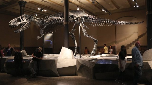 Gesamtansicht von Tristan