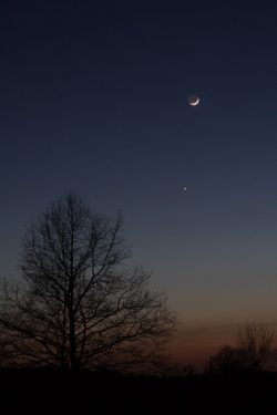 Mond_Venus_100416