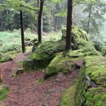 Marienhöhe Pic160724-09