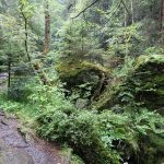 Weg in die Steinklamm Pic160724-13