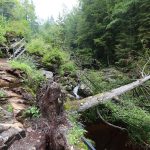 an der Steinklamm Pic160724-19