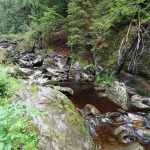 Große Ohe bei Spiegelau Pic160724-20