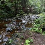 Große Ohe Pic160724-28