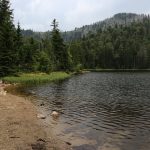 Am Ufer des Rachelsee