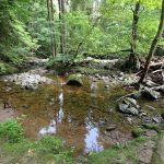 Zugang zur Wildbachklamm