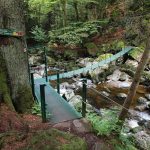 Hängebrücke über die Wolfsteiner Ohe