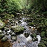 Wolfsteiner Ohe in Freyung