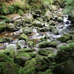 Bett der Wolfsteiner Ohe