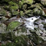 Moos umwachsende Felsen