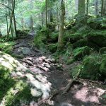 Wanderweg über die Klamm