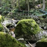 Blick auf die Hängebrücke