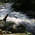 Wolfsteiner Ohe bei Ringelai