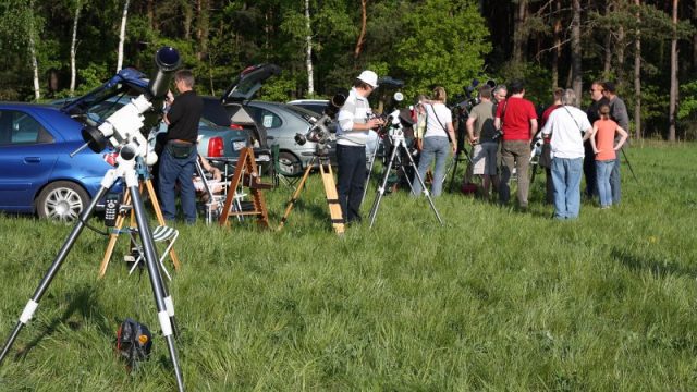 Munteres Treiben am Nachmittag SBST2011-15