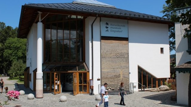 Naturkundemuseum Siegsdorf Urlaub2011-08