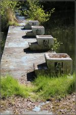 Sprungblöcke am Schwimmer-Nichtschwimmer-Becken comp_IMG_0703