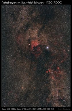 cyg_ngc7000