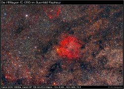 ic1396_1024