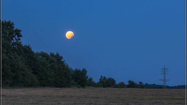 Der verfinsterte Mond über einer Baumreihe (21:04 Uhr)