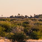Astrofarm mit Sternwarten