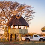 Baumhaus bei Sonnenuntergang