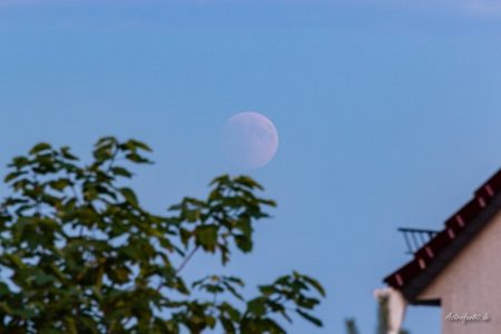Das 1. Foto des Mondes um 21:32 Uhr MESZ kurz vor dem Eintritt in den Kernschatten der Erde rund eine halbe Stunde nach dessen Aufgang.