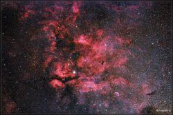 Gamma Cygni Nebula