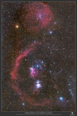 Constellation Orion
