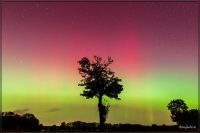 Polarlicht in Giesensdorf am 10.10.2024, 22:24 Uhr MESZ
