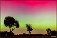 Polarlicht in Giesensdorf am 10.10.2024, 22:38 Uhr MESZ